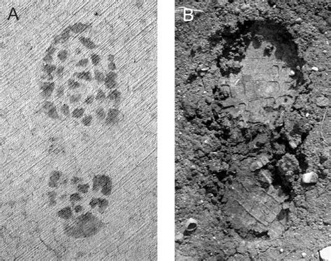 Footprint or impression as a step