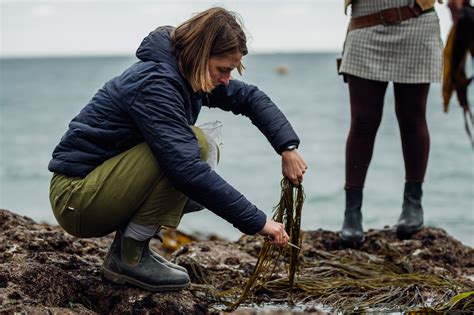 Foraging for seaweed on the coast