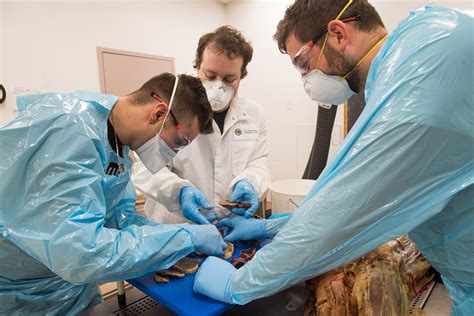 Image of forensic science with cadaver humans