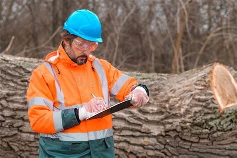 Forestry Technician