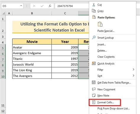 Format Cells Scientific Notation