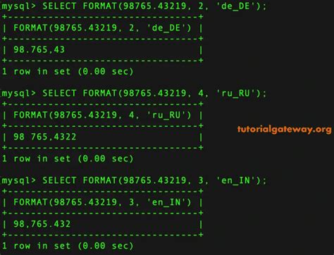 Using the FORMAT function in Excel