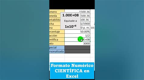 Formato notación científica en VBA