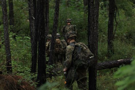 Fort Polk Jungle Training