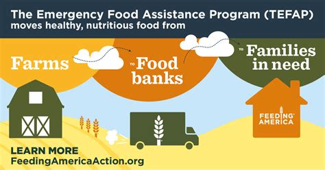 Foster care food assistance programs