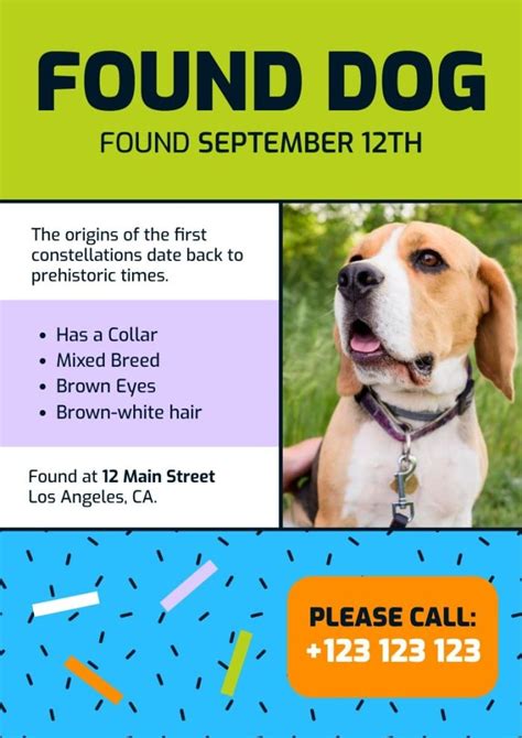 Found dog flyer template with photo