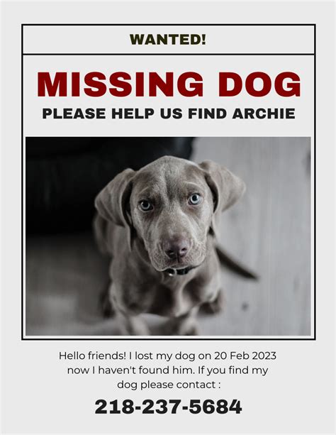 Example of a found dog poster template