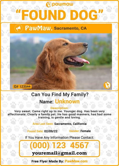 Found Pet Flyer Example