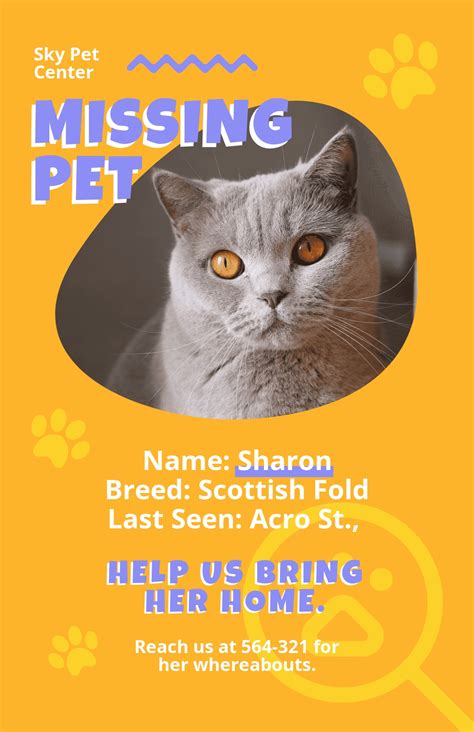 A found pet poster template with a photo and description