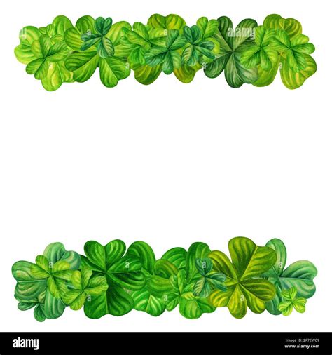 Four Leaf Clover Border