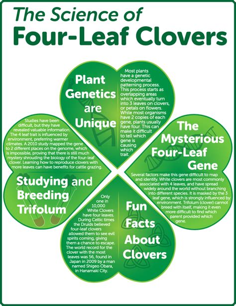 Four-leaf clover science experiments for kids