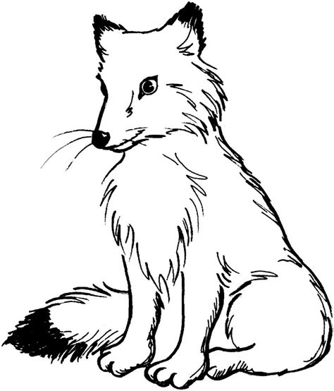 A fox coloring page with a winter theme