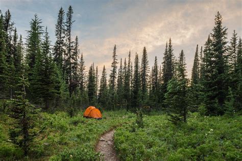 Free Camping Landscapes