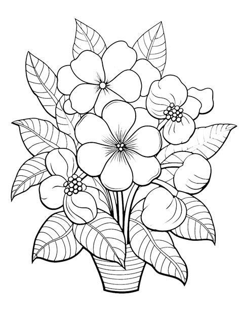 Free flower coloring pages for adults