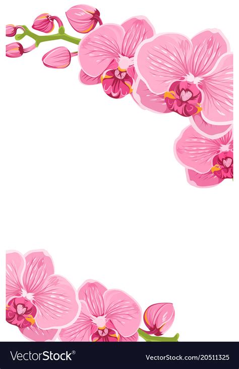 Orchid Free Flower Template Printable Design