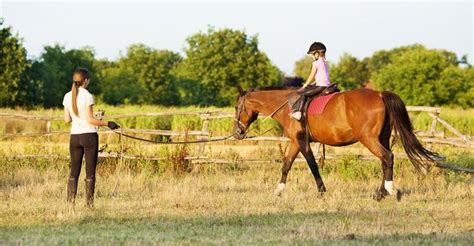 Free Horse Riding Lessons Near Me