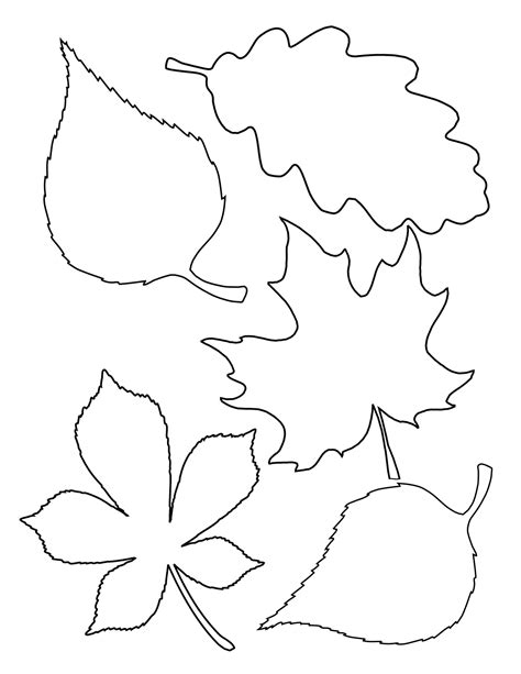 Free Leaf Template Printable