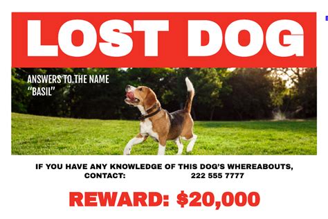 Free Lost Dog Sign Template