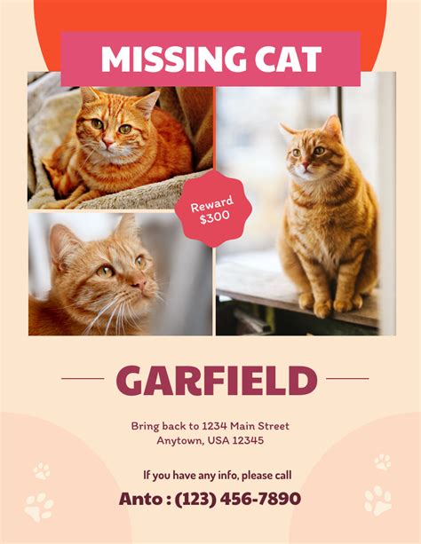 Free missing cat poster template