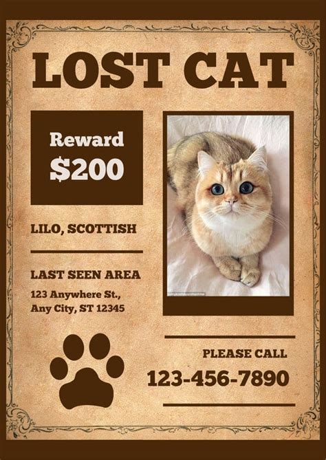 Free missing cat poster templates for Word