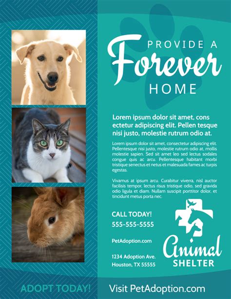 Free Pet Adoption Flyer Template 2