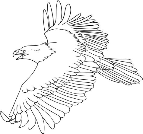 Free Printable Eagle Coloring Pages