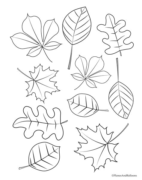 Free Printable Leaf Coloring Pages