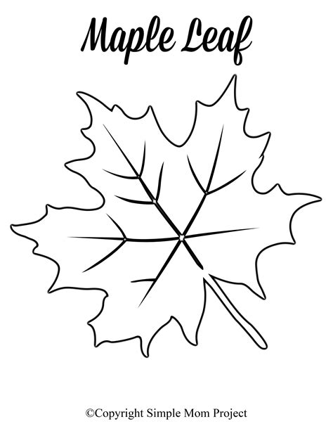 A set of free printable leaf templates on a desk