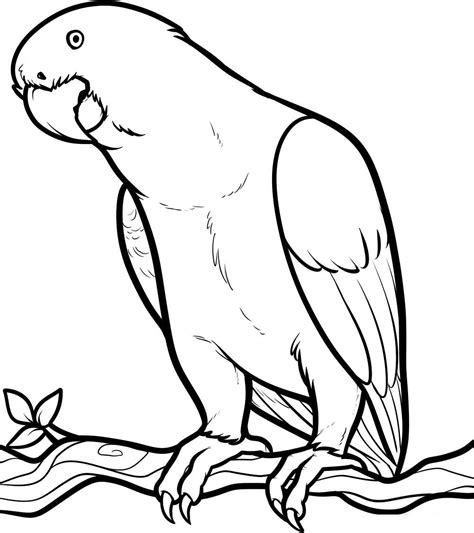 Free Printable Parrot Coloring Pages