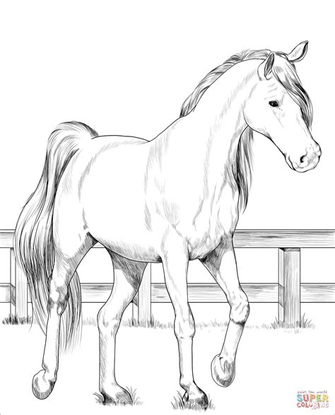 Realistic Horse Coloring Pages Example 10