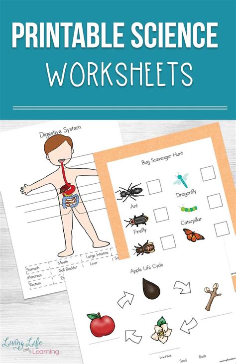 Free printable science worksheets with a microscope