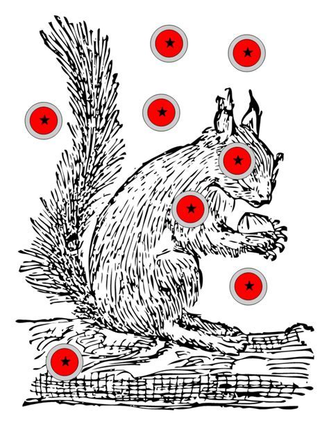 Free Printable Squirrel Targets