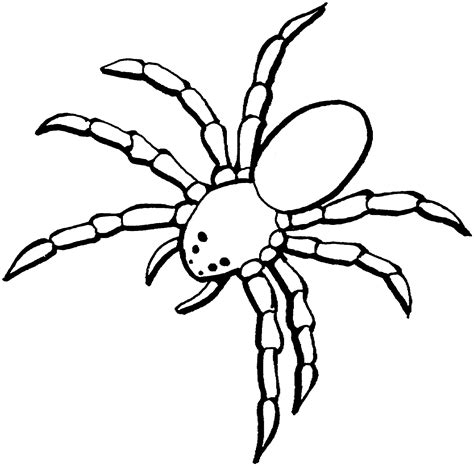 Free Spider Coloring Pages for Kids