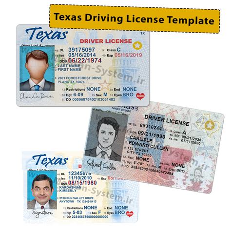 Free Texas Driver's License Template 6