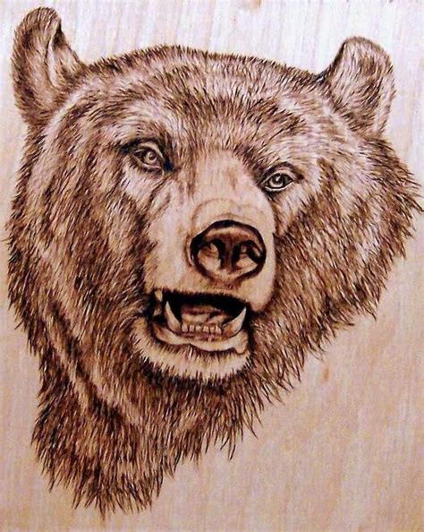 Free Wildlife Wood Burning Patterns for Beginners