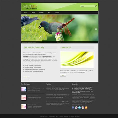 Free CSS website templates