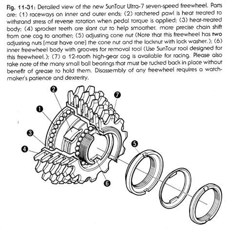 Free wheel diagram templates