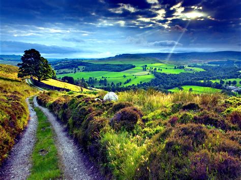 French countryside