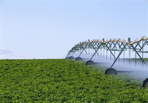 Irrigation solutions for Fresno agriculture