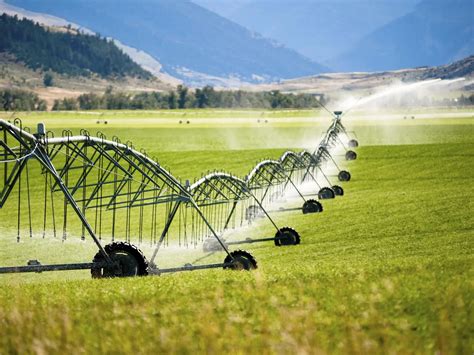 Water conservation solutions for Fresno agriculture