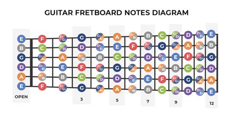 Guitar Fretboard Diagram