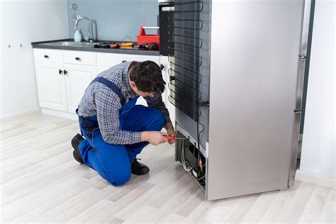 Fridge maintenance