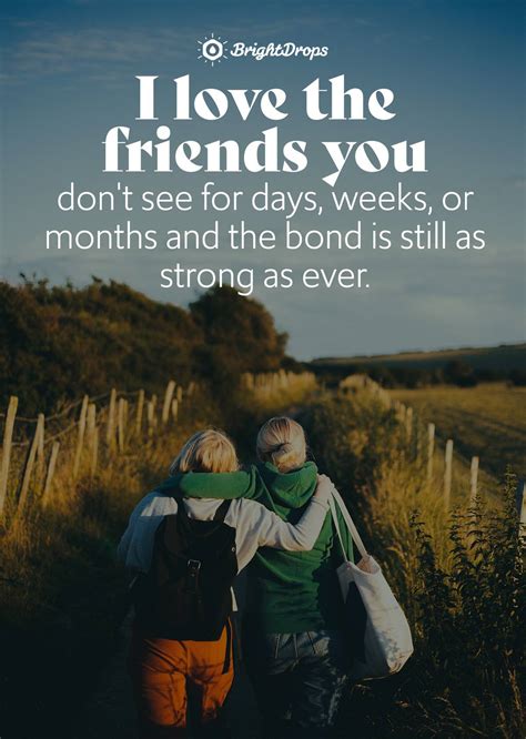 Friendship quotes