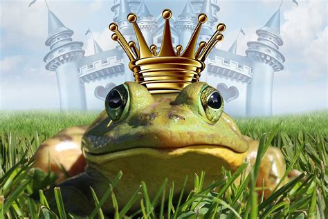 Frog Prince