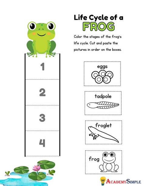 Frog science worksheets