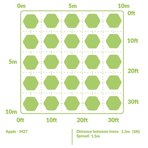 Fruit spacing chart example