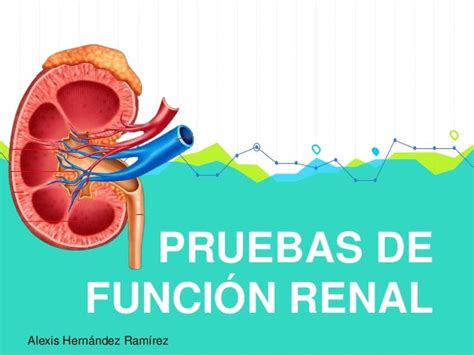 Función renal