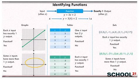 Function Identification