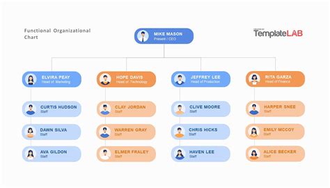 Functional Org Chart Template