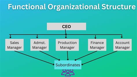 Functional Organization Structure